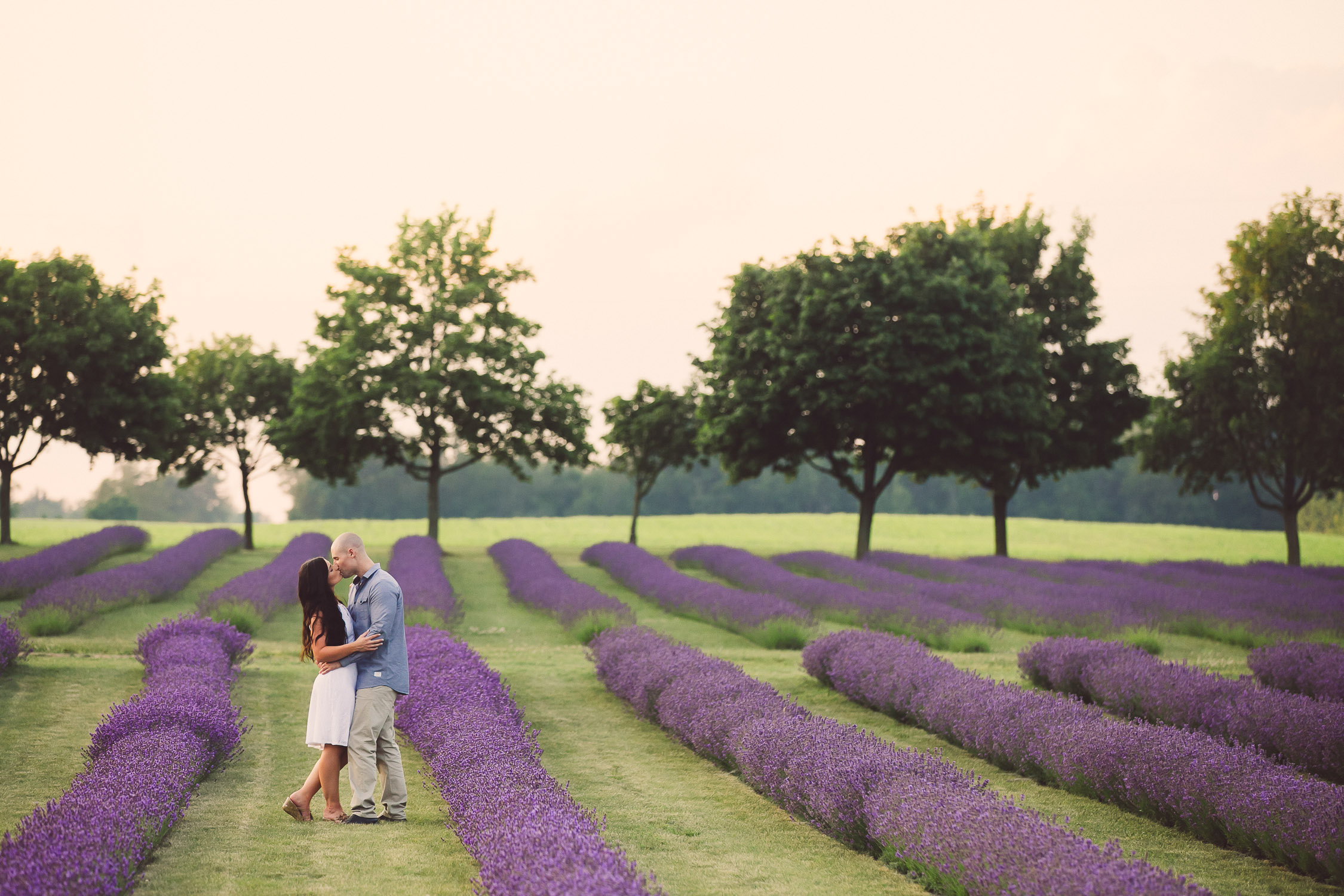 Elegant engagement Photos at a Lavender Farm in Norfolk County.