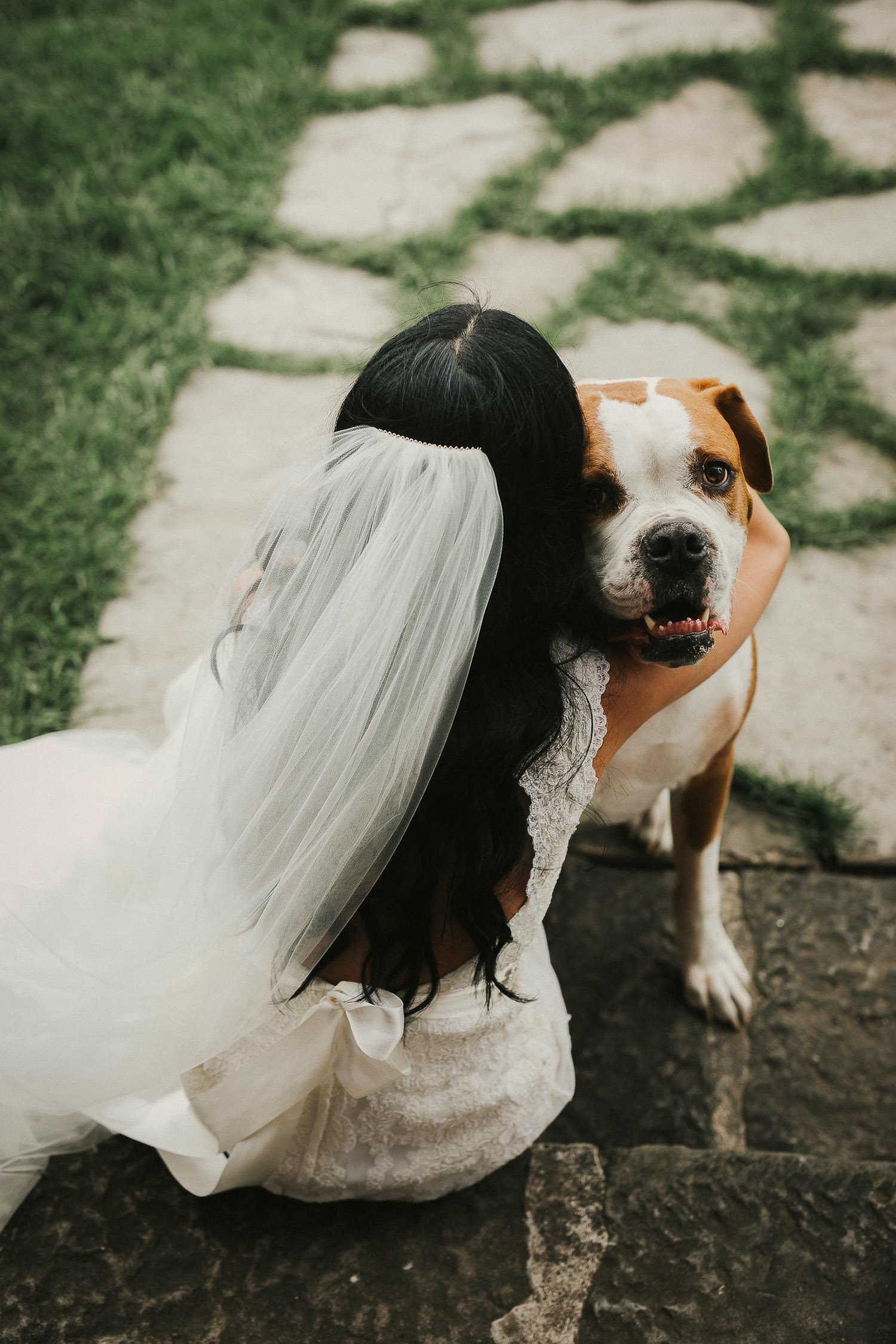 bride hugs dog