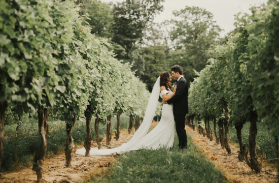 classy couple in a Niagra Vineyard