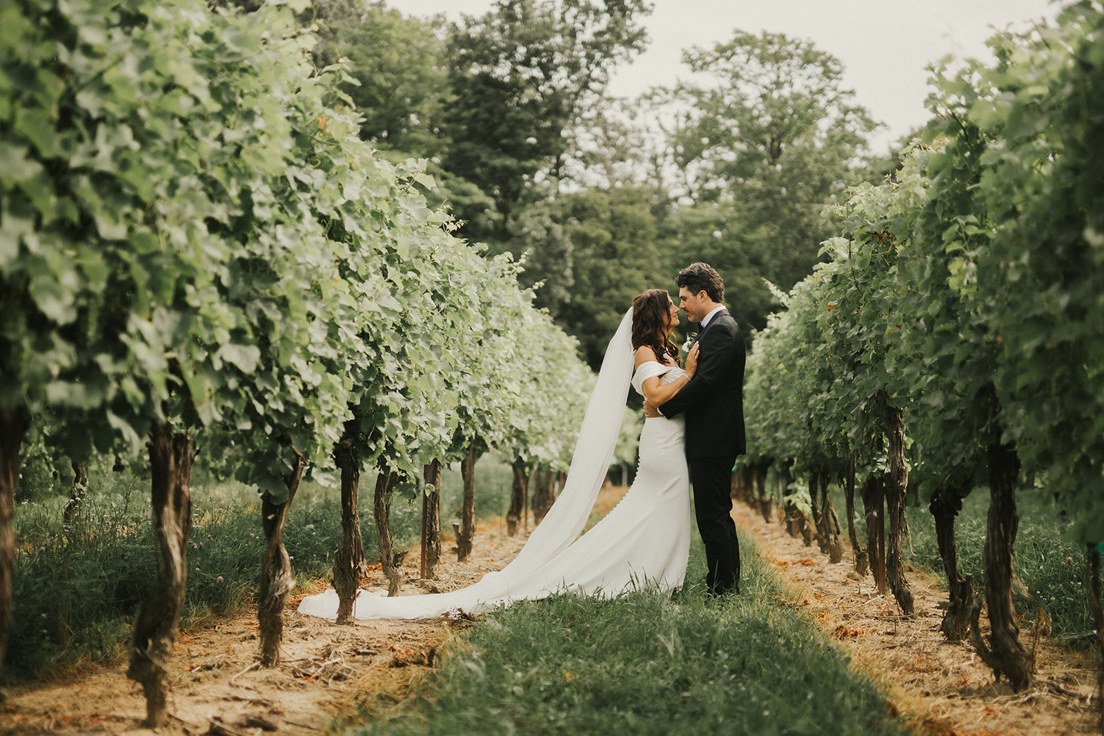 classy couple in a Niagra Vineyard